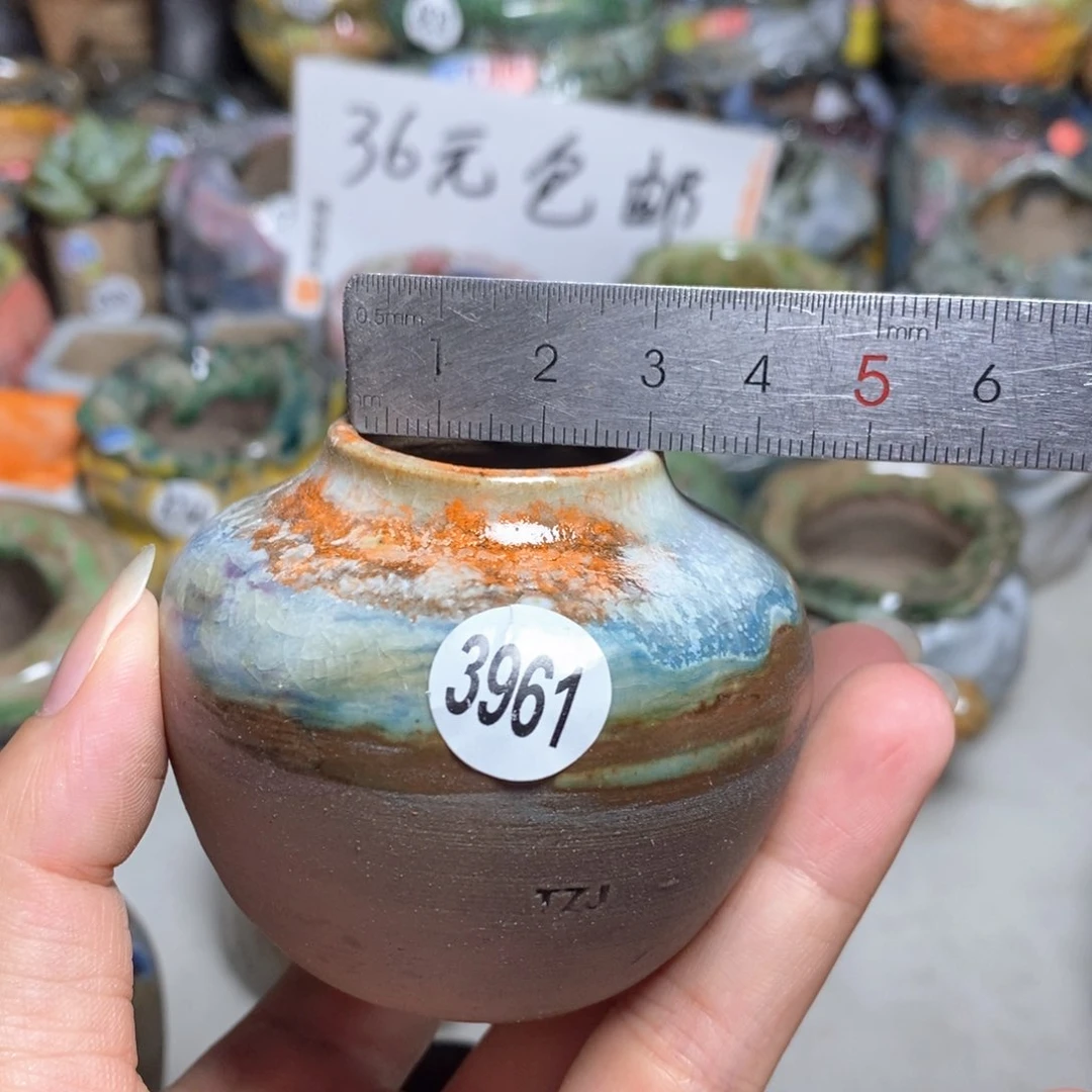 拍5送一个小礼物