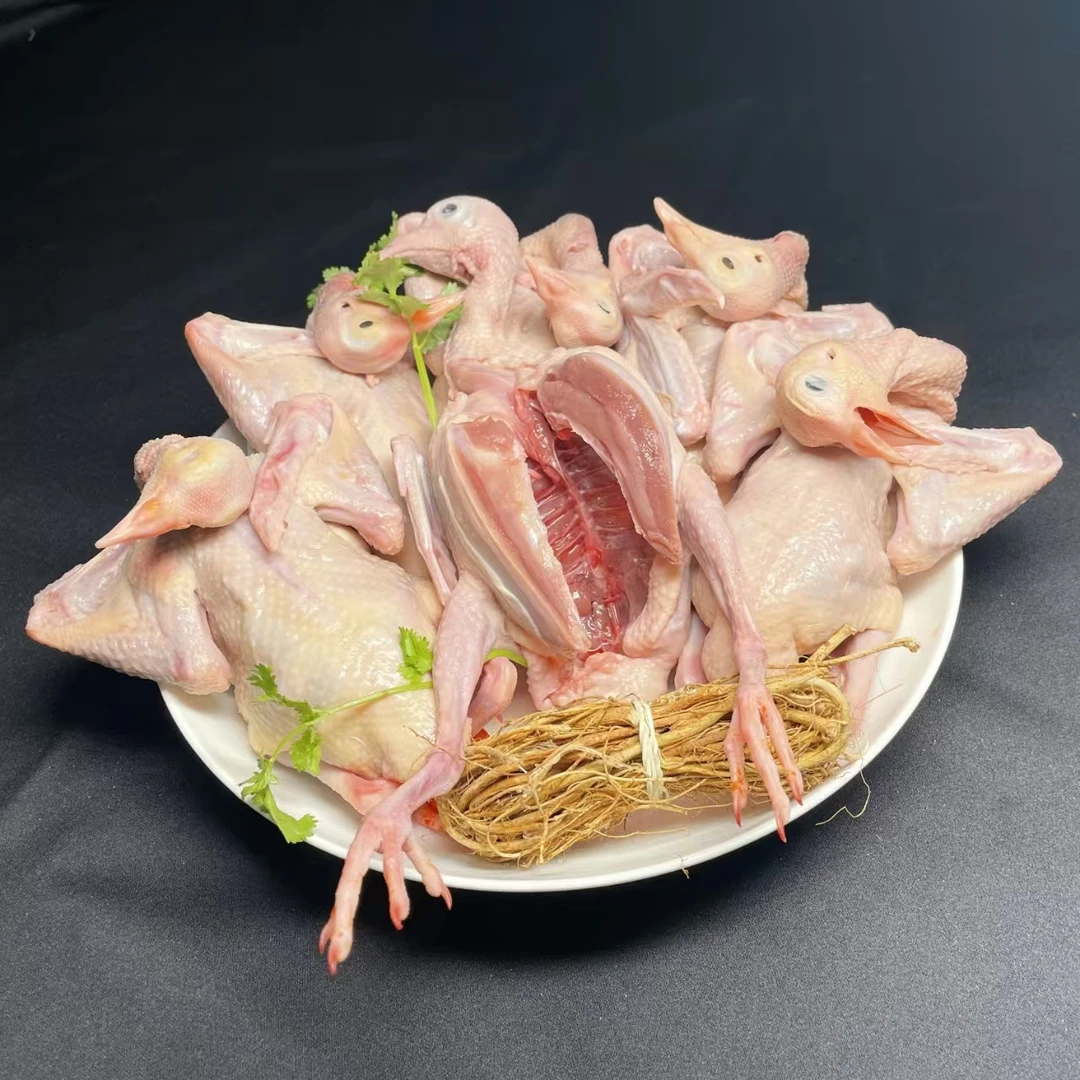新鲜现杀鸽子8只福利鸽肉 半净膛 中鸽
