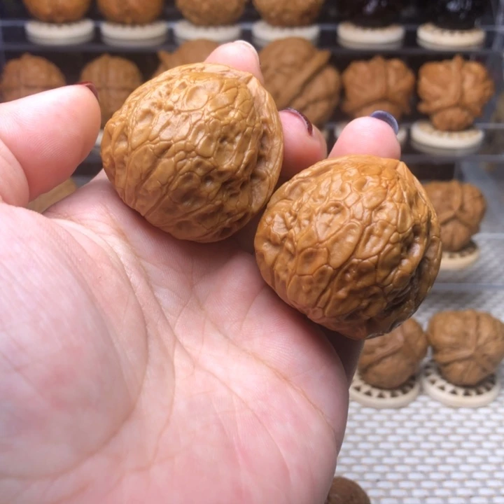 文玩核桃把件58玄月古蟾40尺