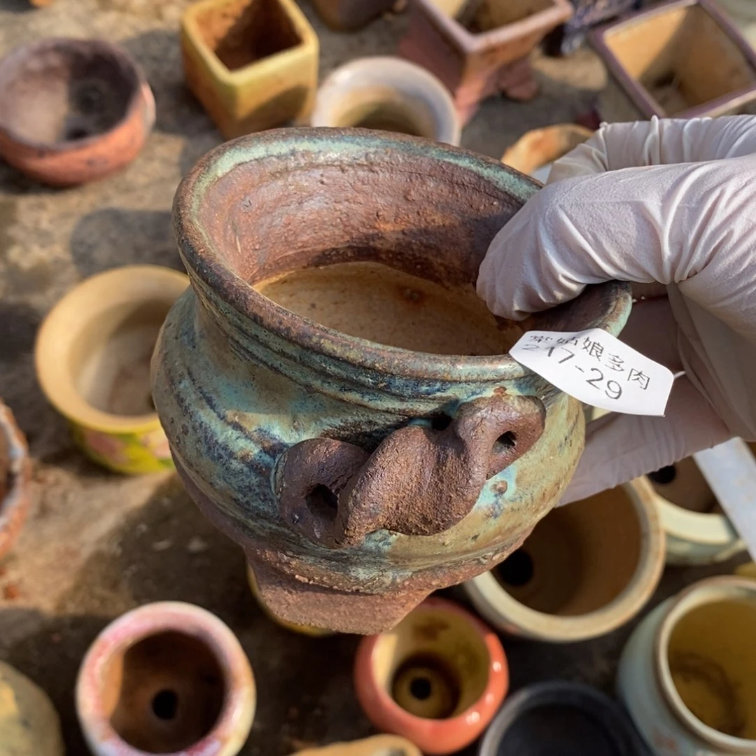 红陶A***n29号多肉盆一个呀