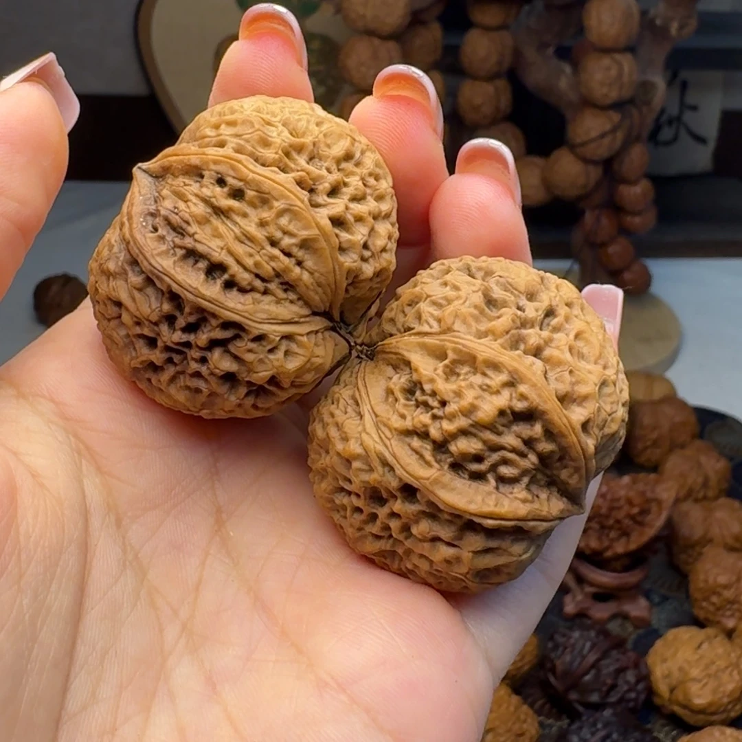 文玩核桃把件生命之源40.3