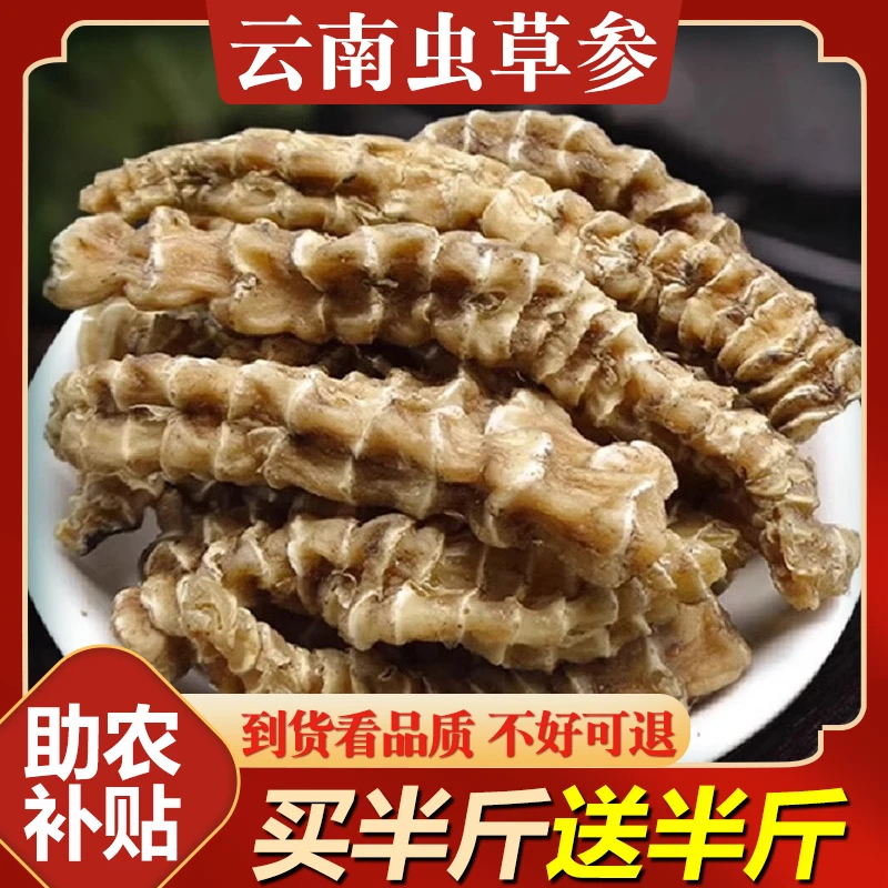 【助农补贴】云南虫草参地参干新鲜干货新货泡酒煲汤地蚕草地笋保真