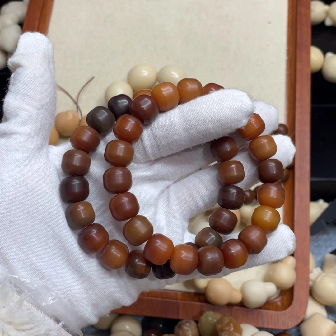 菩提根/象牙果吊坠12干磨油膏汉堡福利一锅639