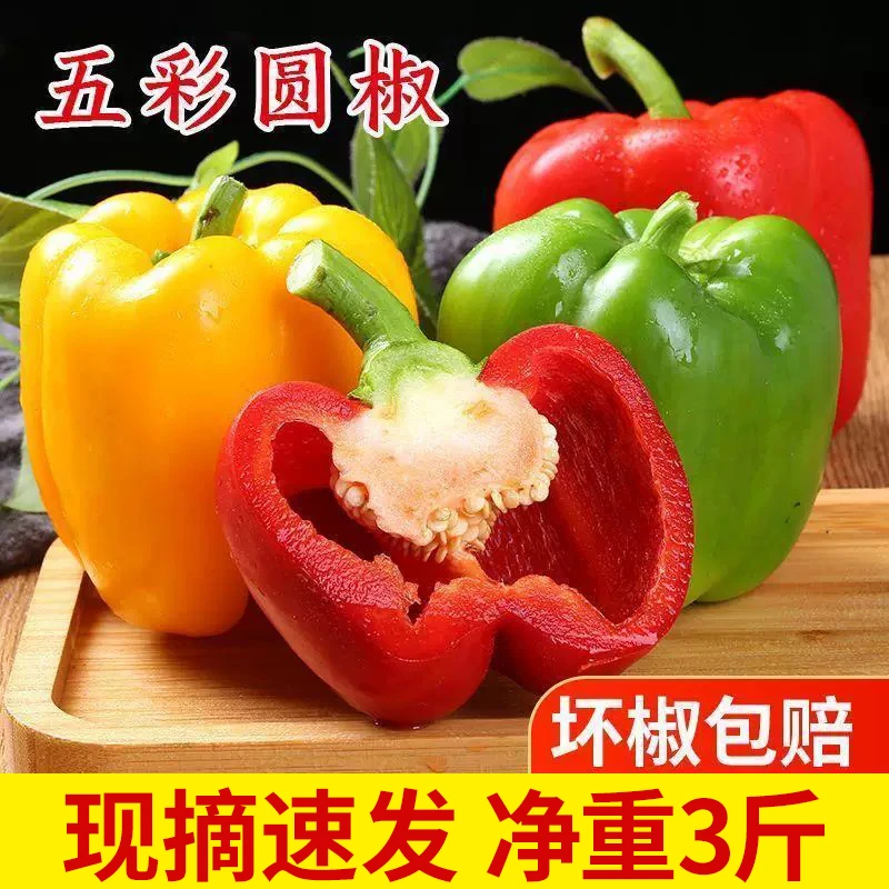 彩椒新鲜生吃甜椒不辣圆椒太空椒红椒黄椒辣椒维C水果灯笼椒现摘