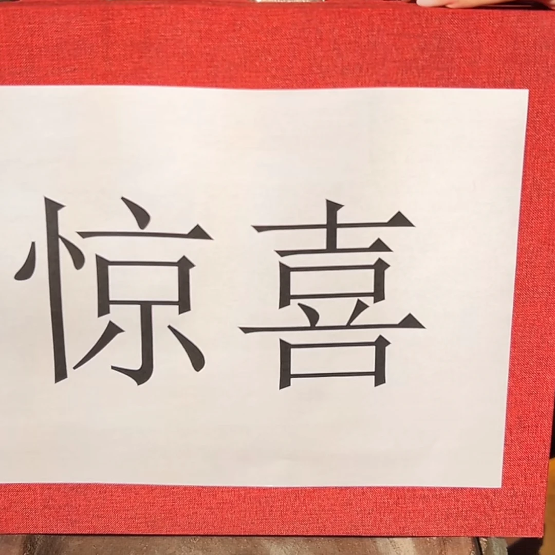 代拍链接  惊喜   信任额度  双12