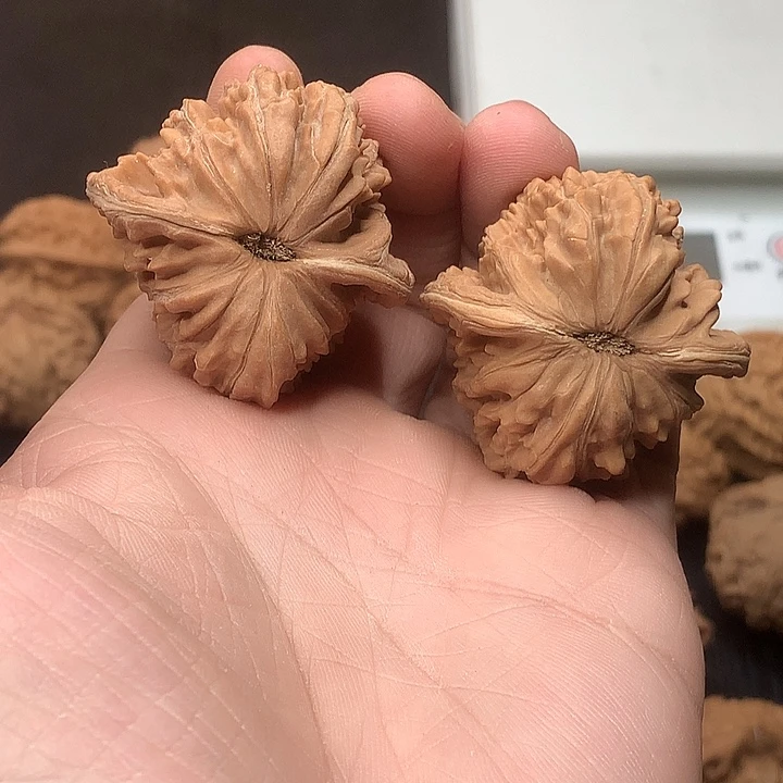 文玩核桃吊坠41楼子