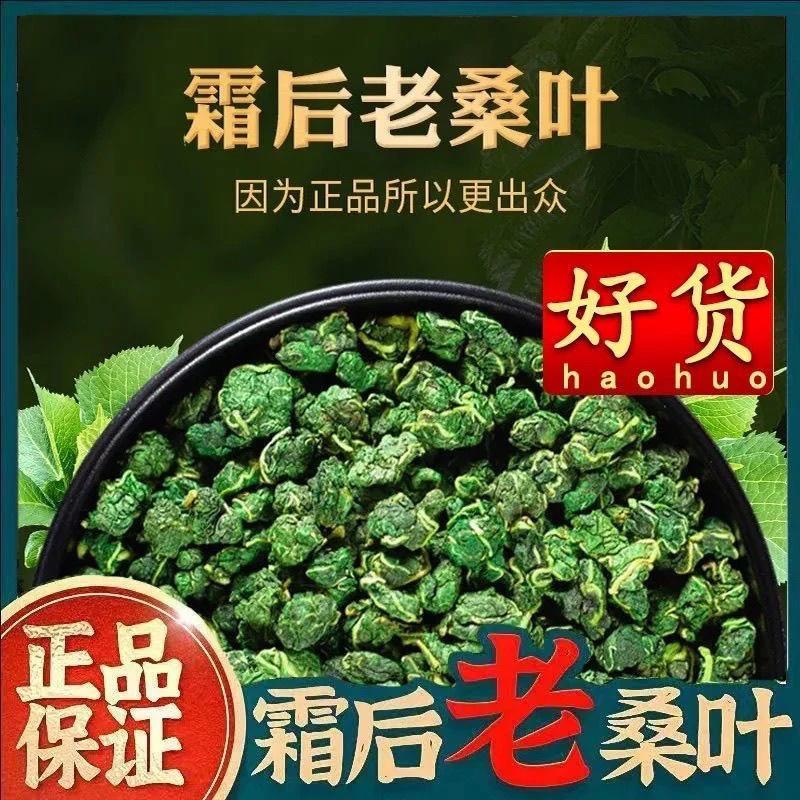 正品新鲜桑叶茶霜后桑叶纯天然干桑叶养生茶泡水代茶饮
