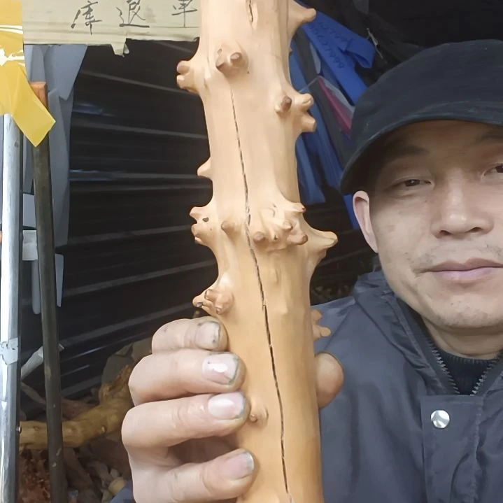 稳定木屳****道贵州檬子木   铁马鞭   根艺  半成品