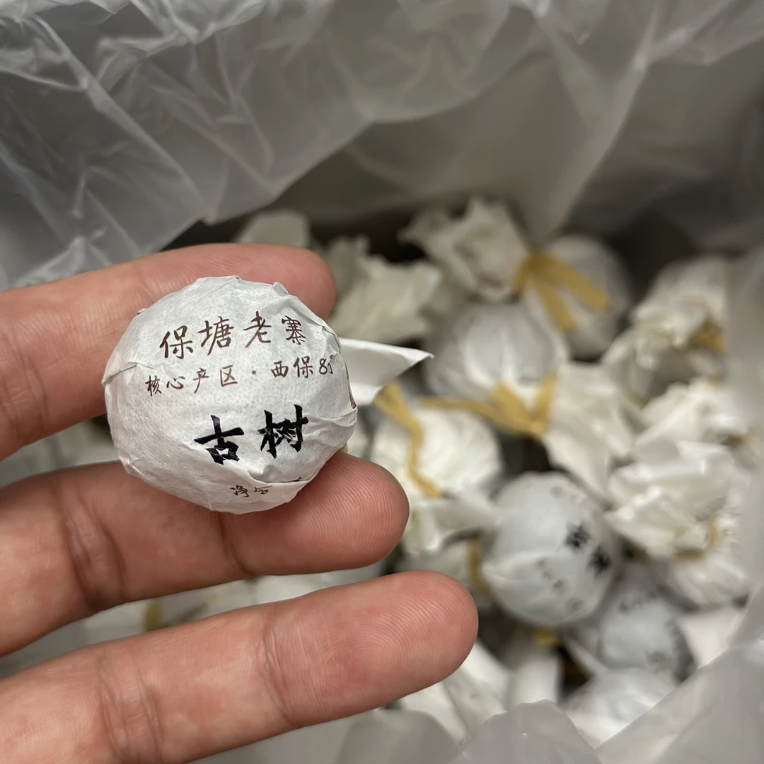 【品牌承包地块】保塘老寨2025年古树春茶生茶·8克手工龙珠
