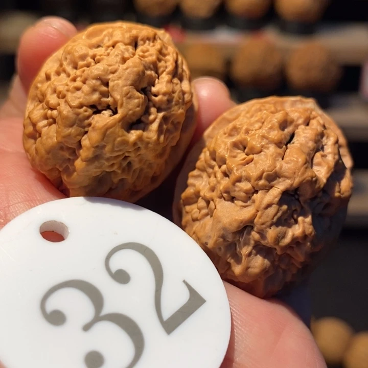 木质类暴雪舍利34尺寸