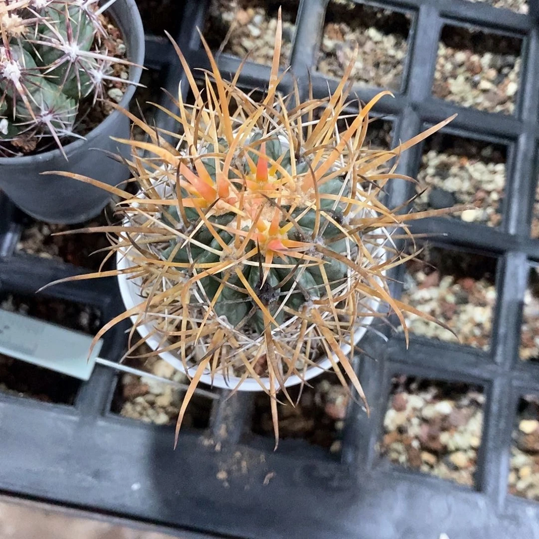 路***3哈哈哈哈哈哈哈哈哈