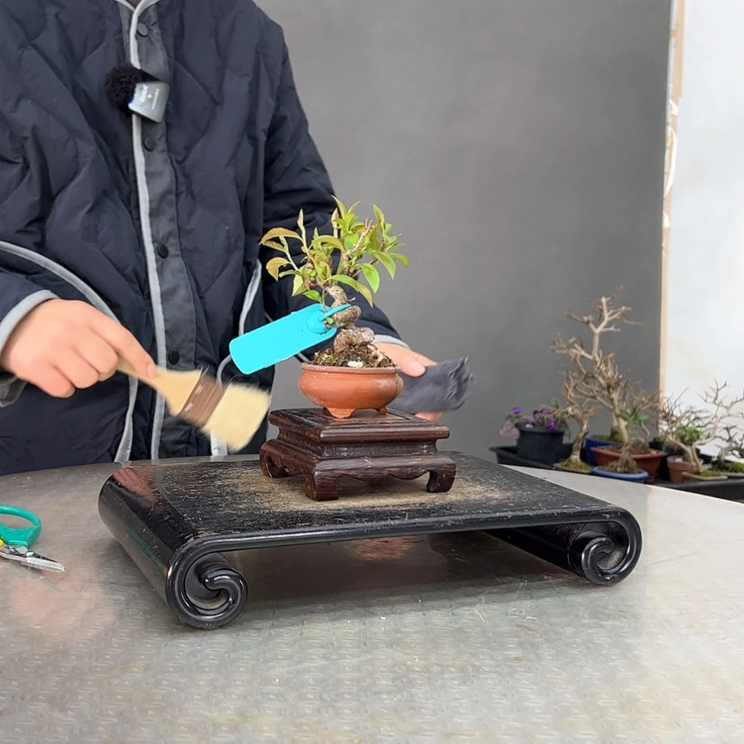 红陶m***$1顺丰到付。