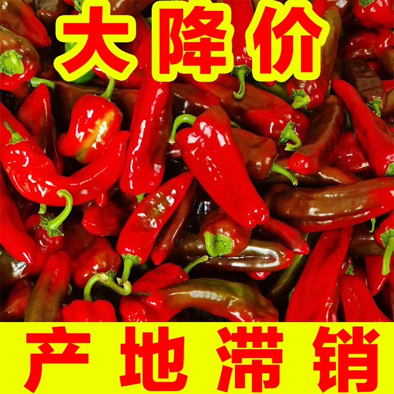 [大甩卖]七彩辣椒新鲜花辣椒红辣椒虎皮青椒炒菜辣椒芜湖辣椒