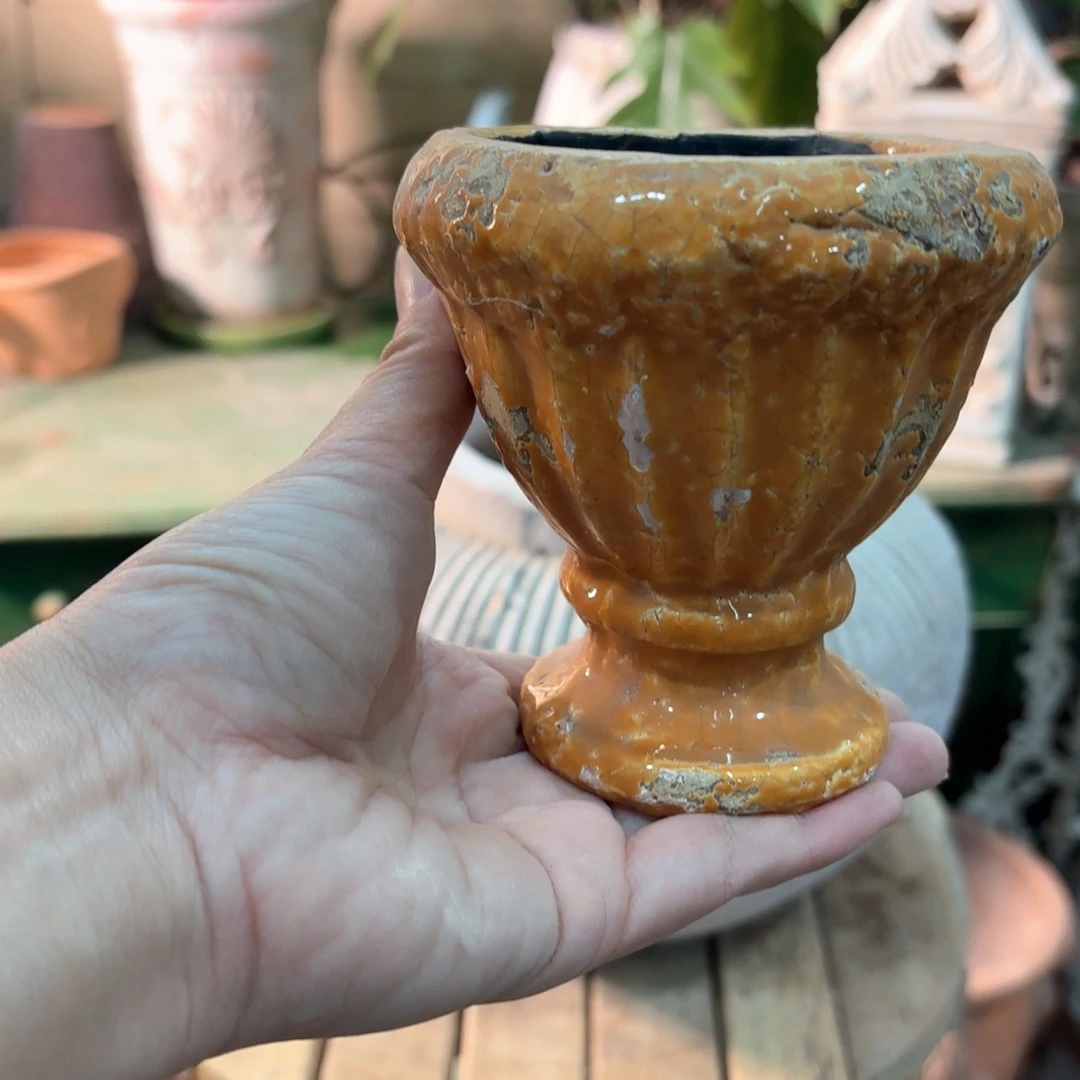 许纯的花房孤品奖杯福利