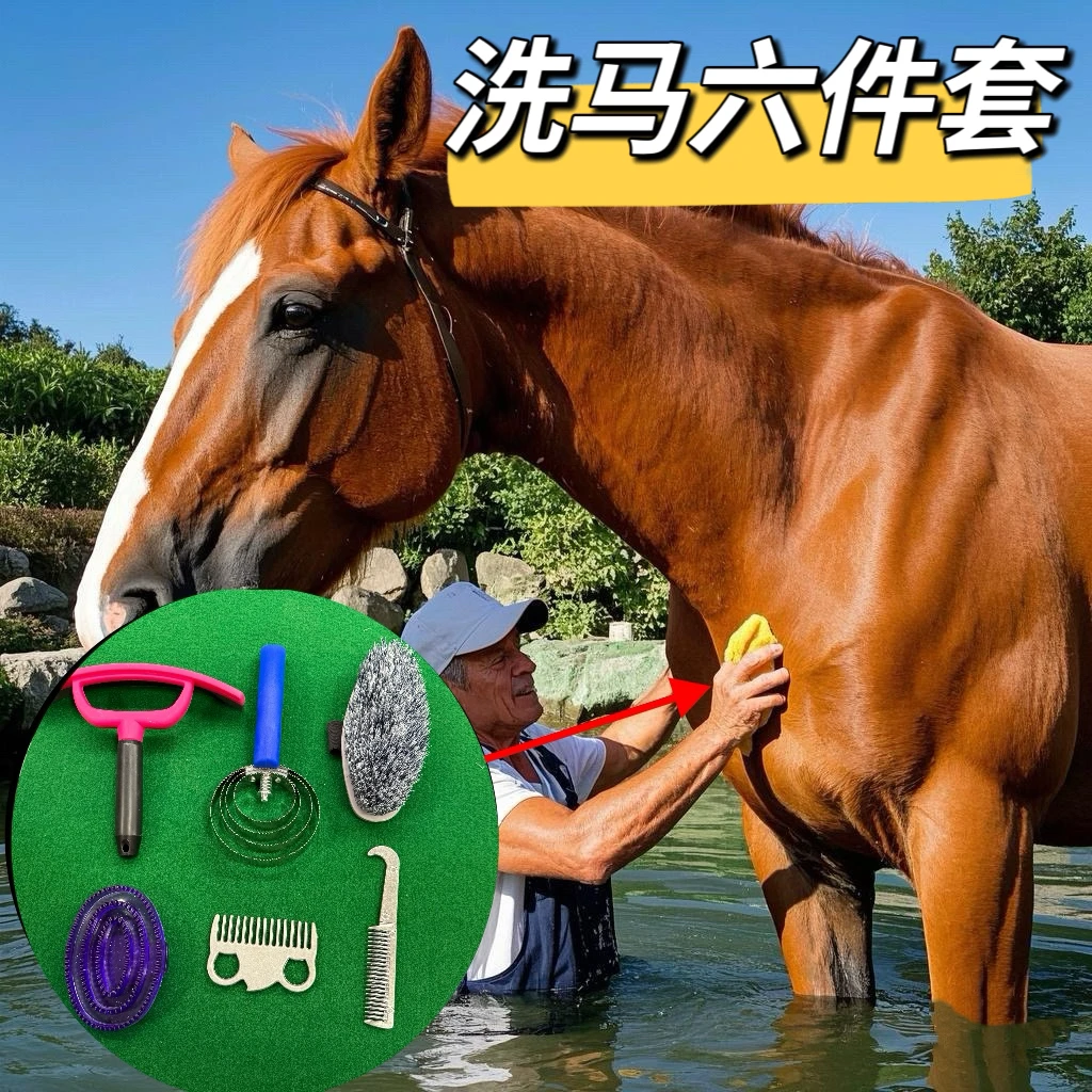 洗马马具用品马刷宠物美容刷洗澡按摩刷锯齿件套六圈马具梳子刷子