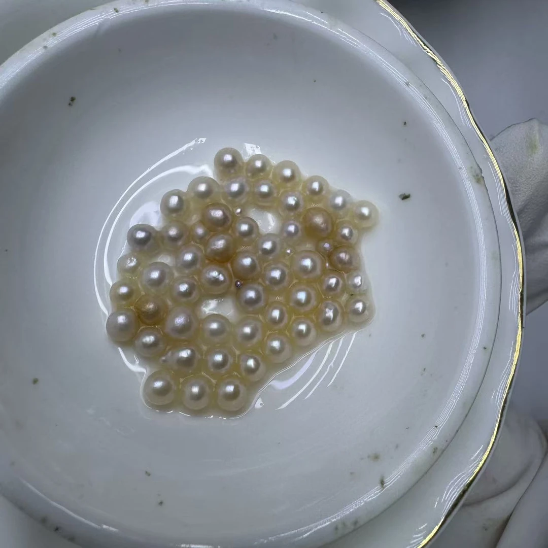 福利A K一个，一蚌10~30个，可定制不退换