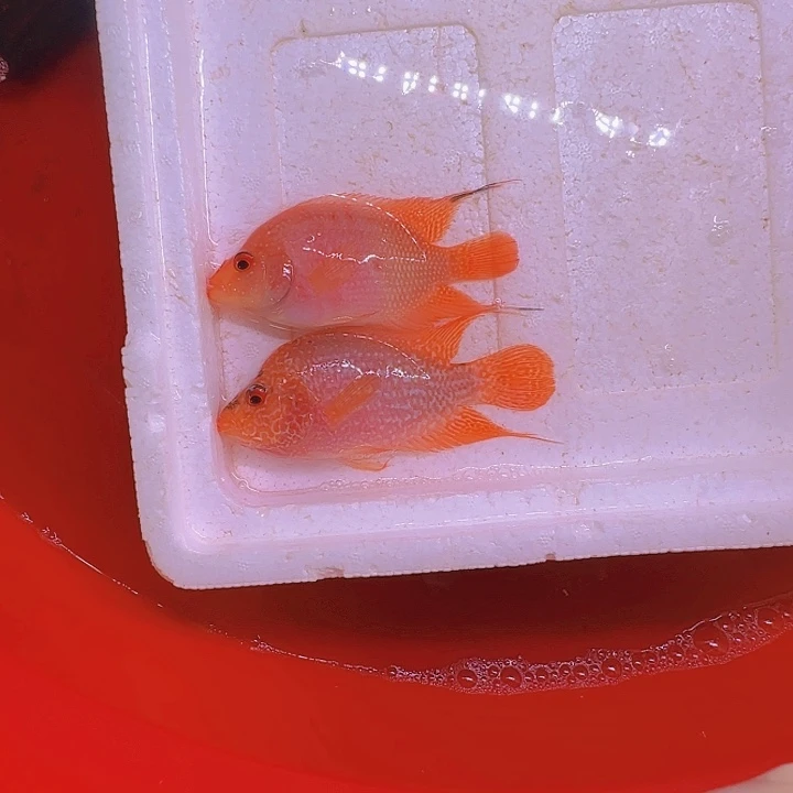 海水啊啊啊啊啊啊啊啊
