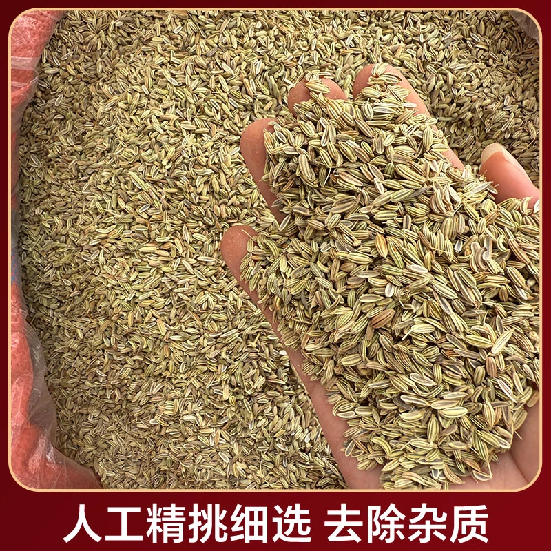 谯竣堂【小茴香】甘肃小茴香精选川菜调味料炒菜火锅烧烤可作粉料