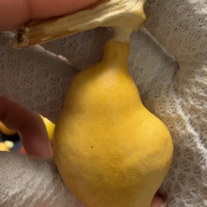 凯***…6…………………………………………