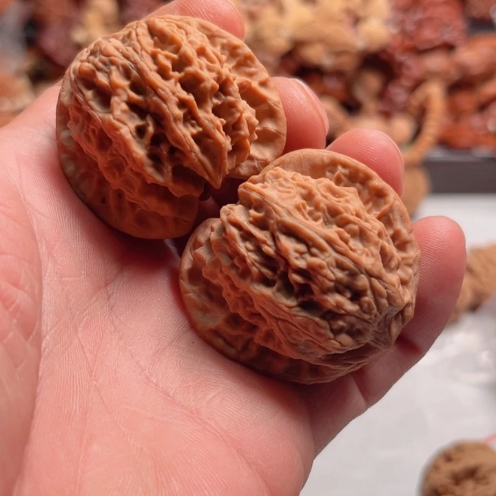 把件文玩核桃野生兴隆元宝树头