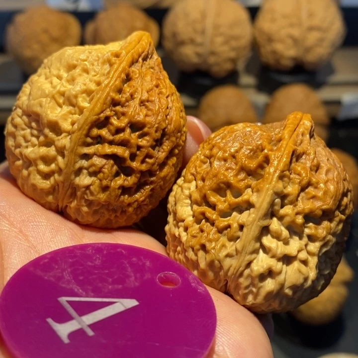 七彩铁南疆尺寸39