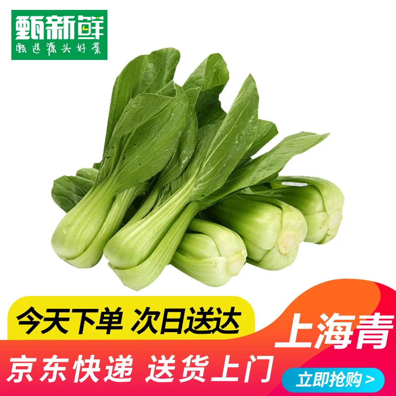 ②⑧上海青500g±10g京东包邮次日达绿色蔬菜上海青