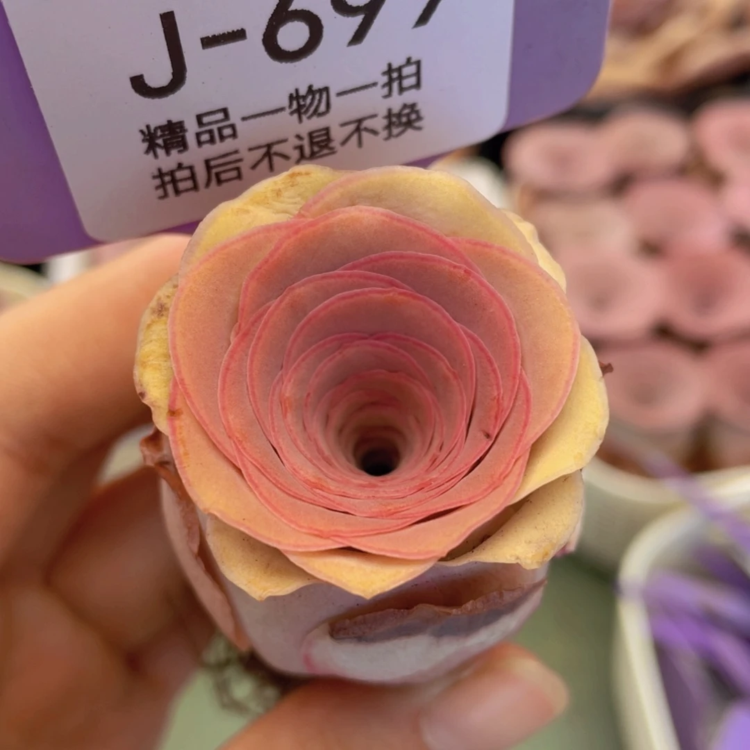 山地玫瑰J699满38包邮裸根发货不售后