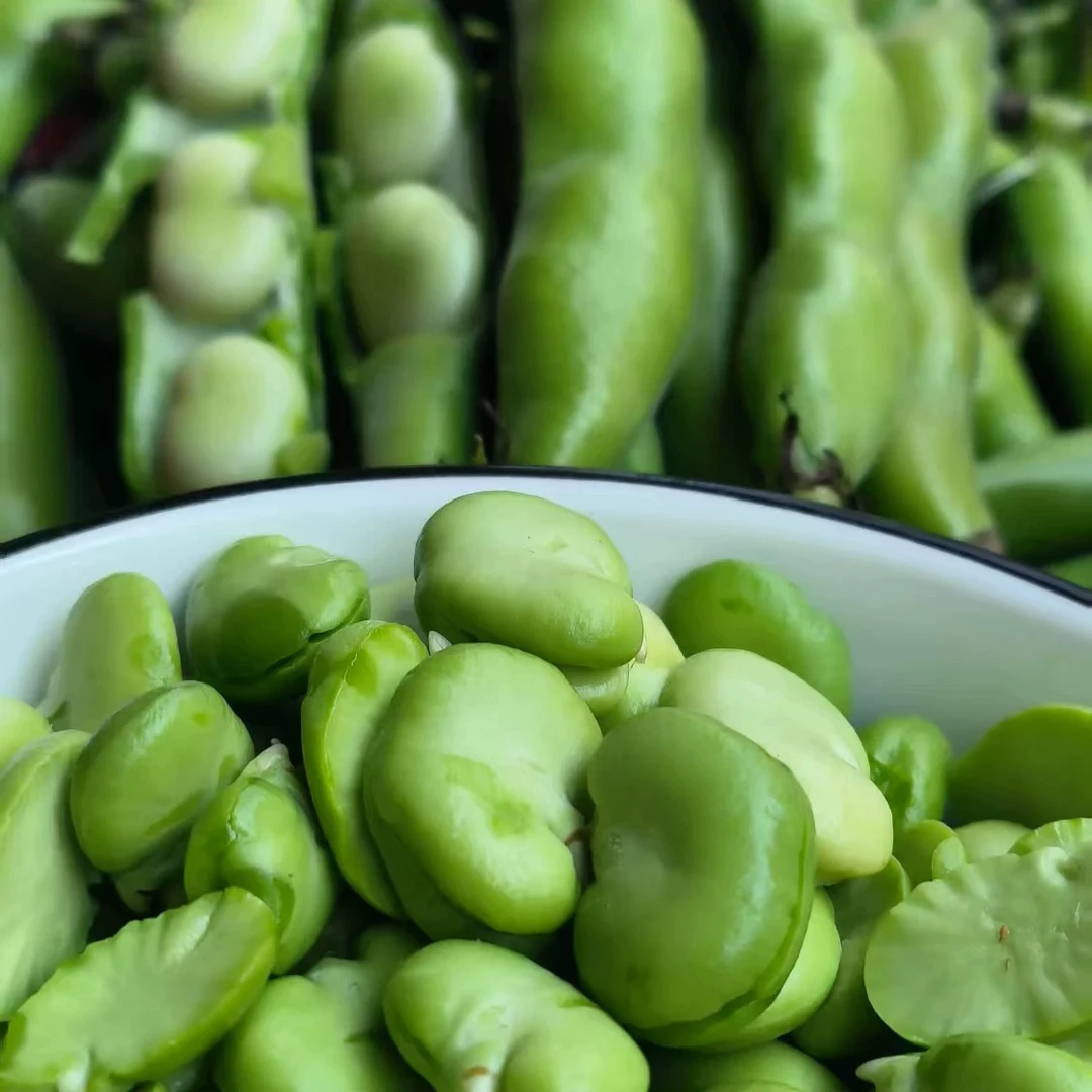 现剥云南新鲜去皮去壳蚕豆瓣青豆米胡豆米罗汉豆米