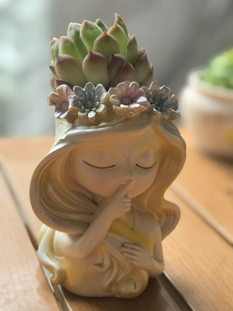 适合桌面装饰的女生礼物