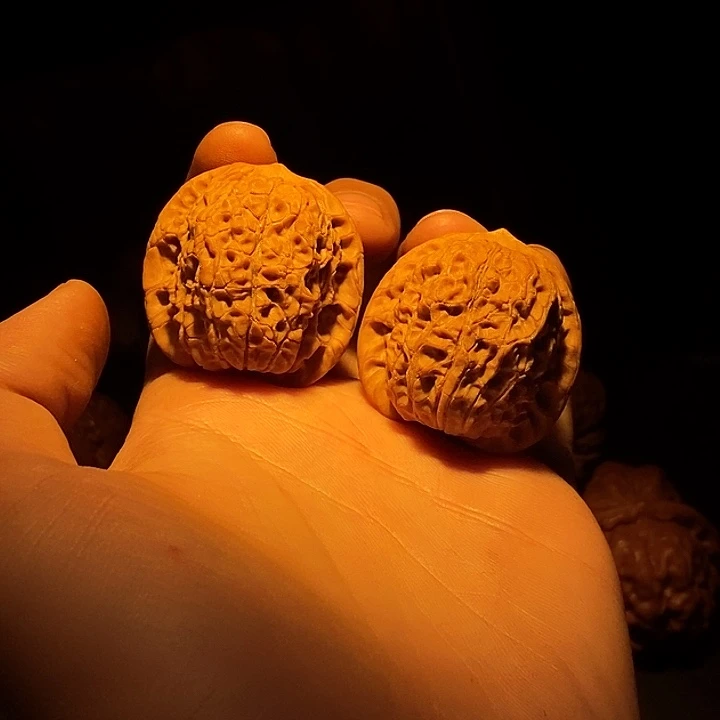 情***缘核桃等经济林果地的作用
