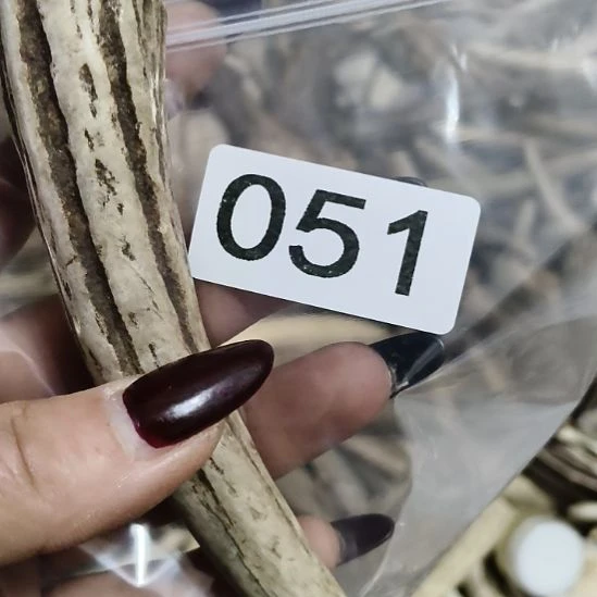 古***欠鹿角鹿角鹿角鹿角鹿角鹿角