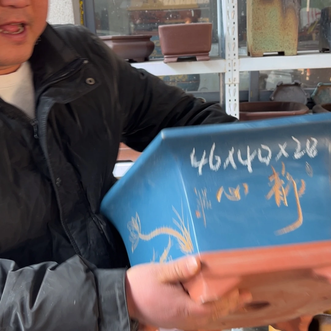 花盆紫砂盆景艺术