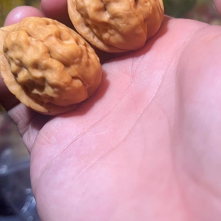 文玩核桃吊坠滇西36