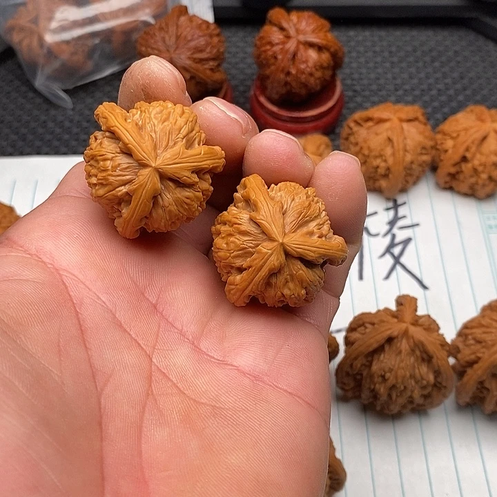 核桃把件拼接白狮子2