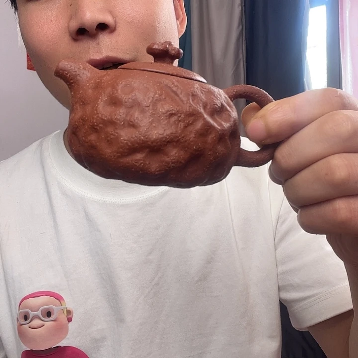 茶壶紫砂正品一把