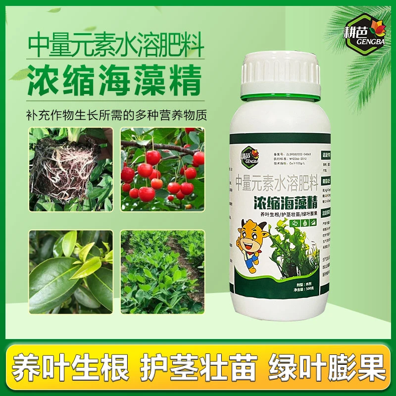 耕芭浓缩海藻精促根壮根绿叶靓果抗旱大田作物通用养叶生根调生长