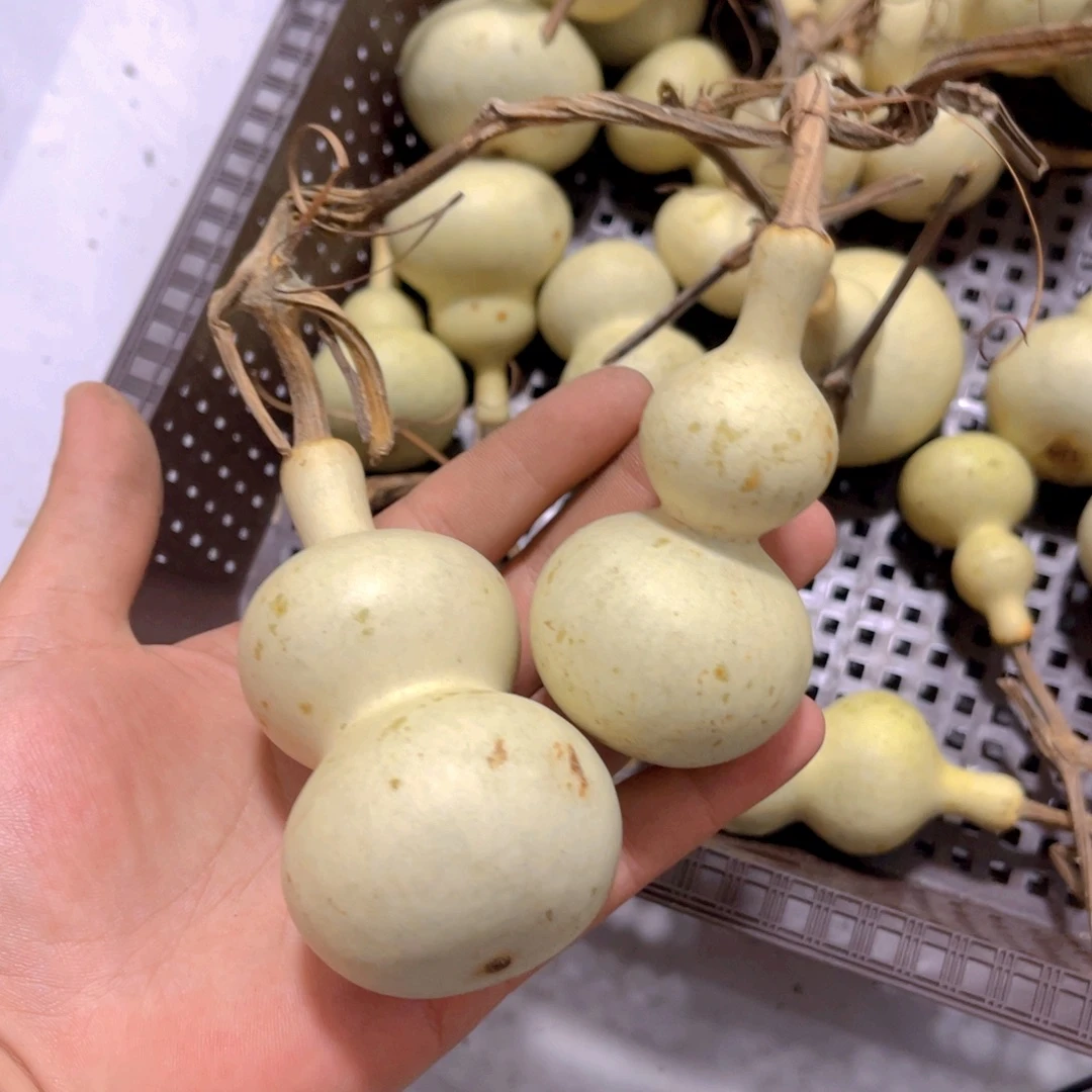 骑***步感谢大哥支持兄弟不保