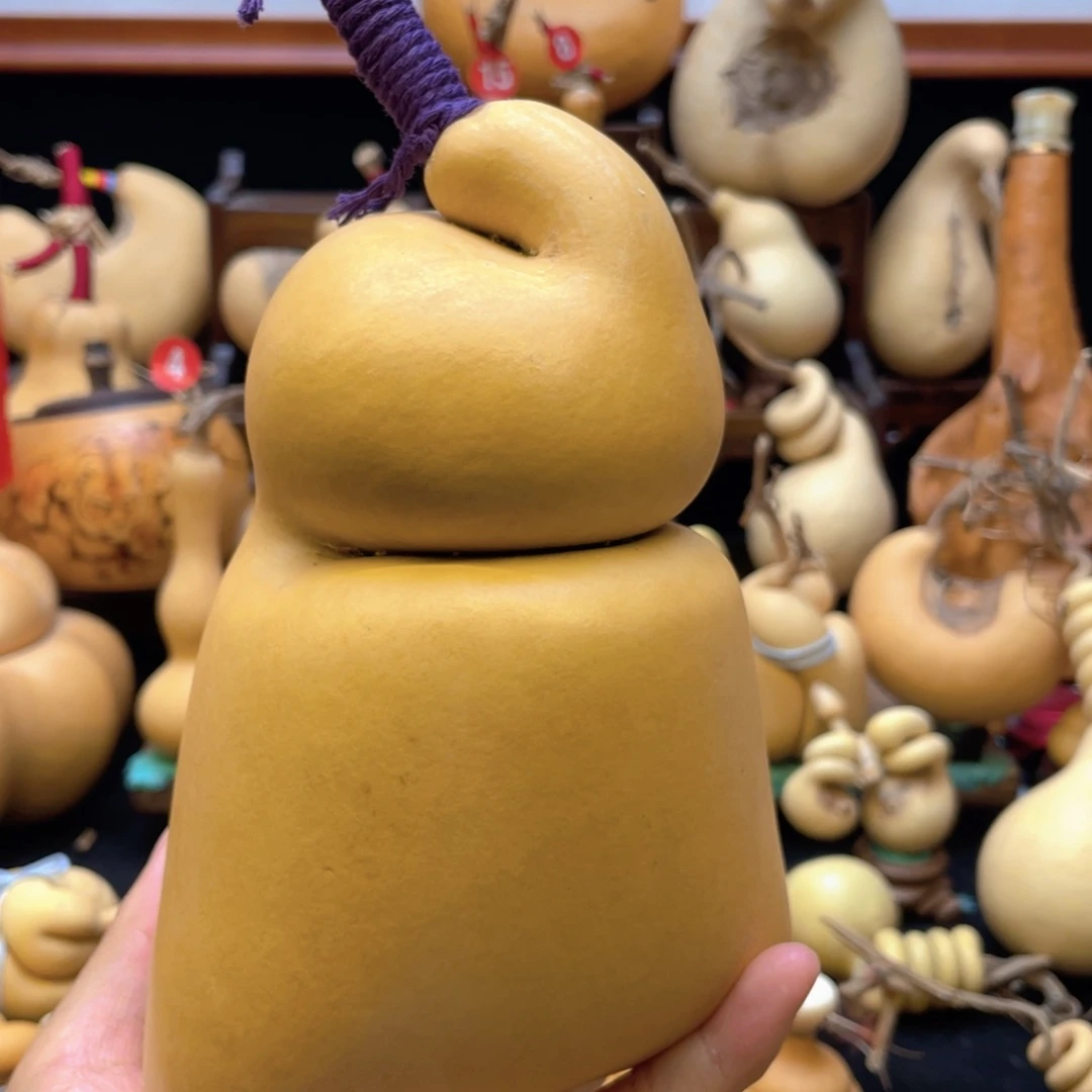 冰*大自然的秘密第十一节的秘密