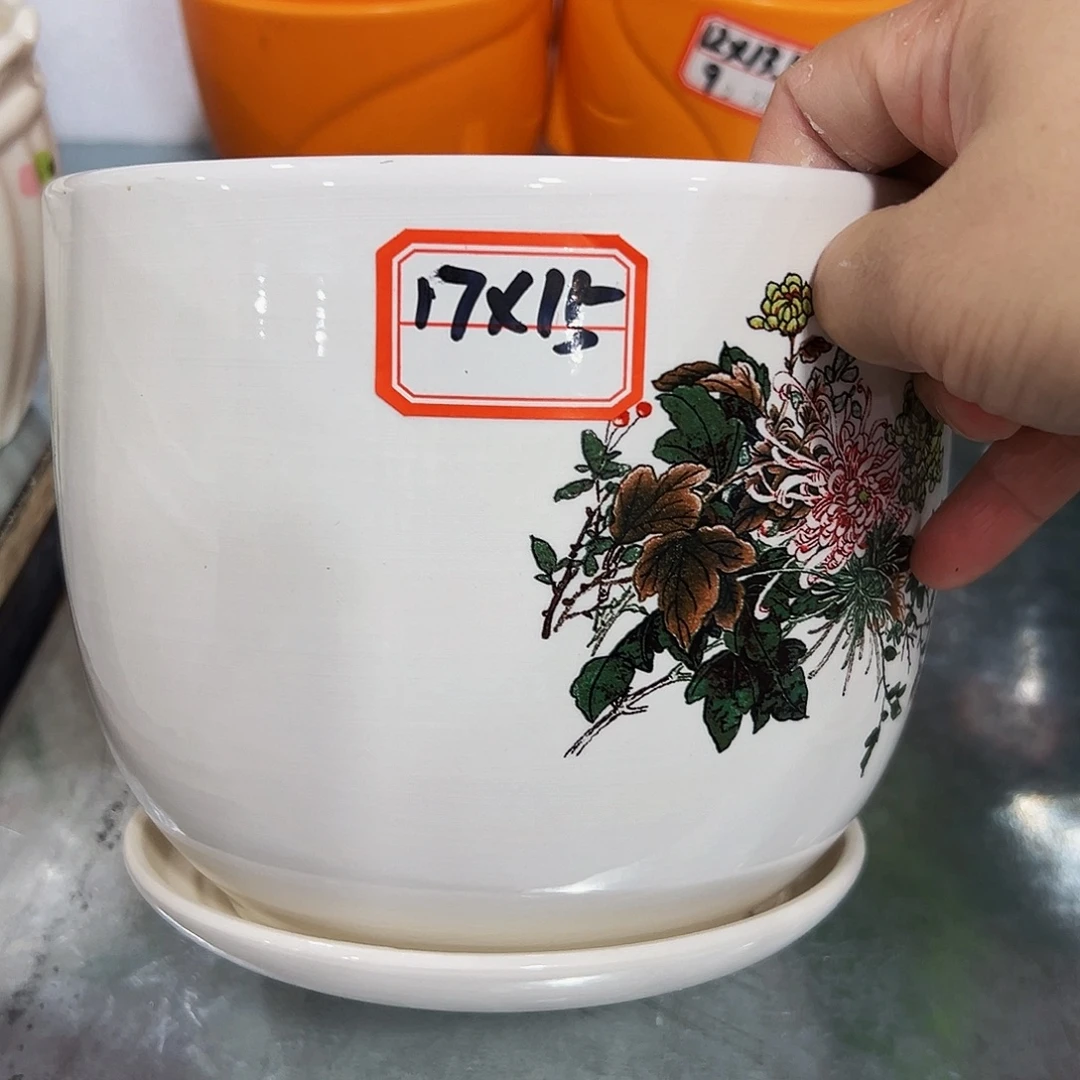 花盆花盆花盆花盆花盆花盆花盆花盆