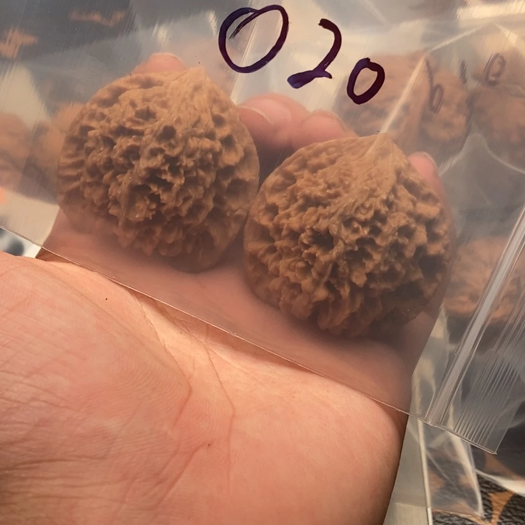 文玩核桃吊坠满天星