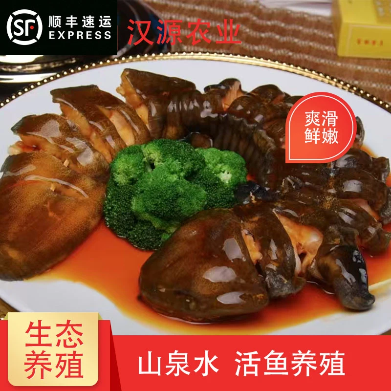 汉源直播间现称现拍娃娃鱼