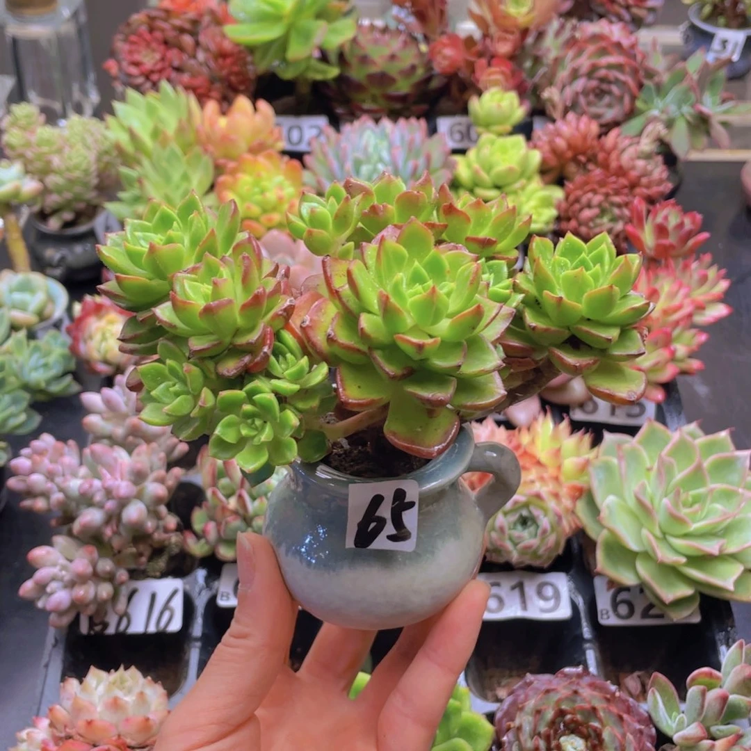 秋*花器花器花器花器