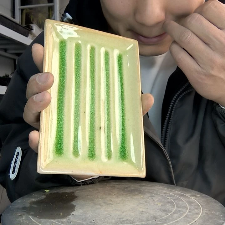 苏**y小盆景小植物一物一拍451