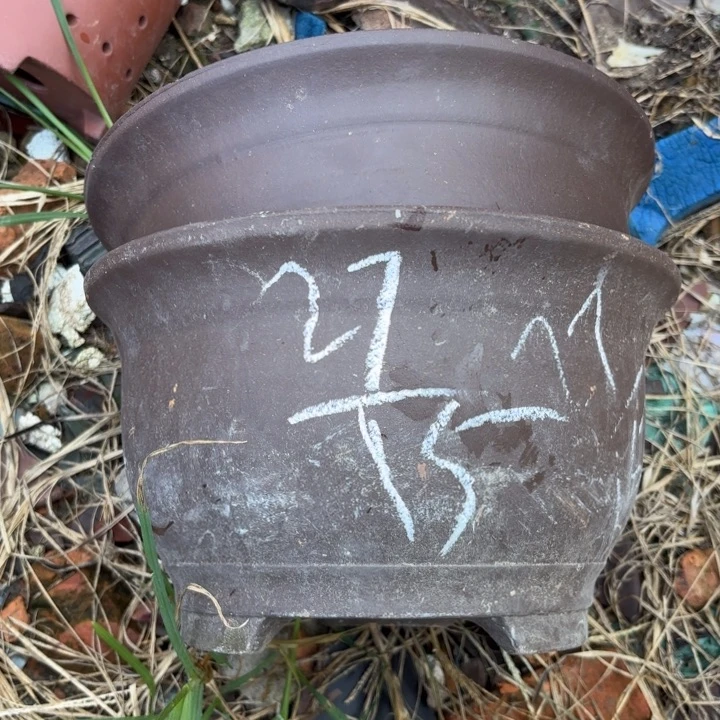 紫砂花盆紫砂的花