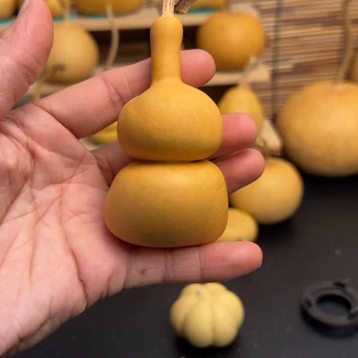 ?****炉葫芦葫芦葫芦葫芦葫芦