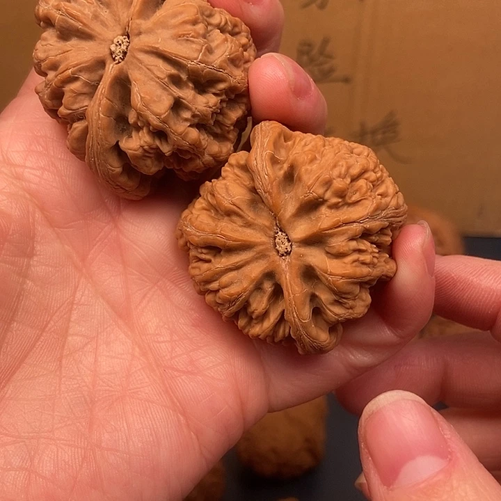 凯***者大大大大大粗筋歪、有点小黄尖