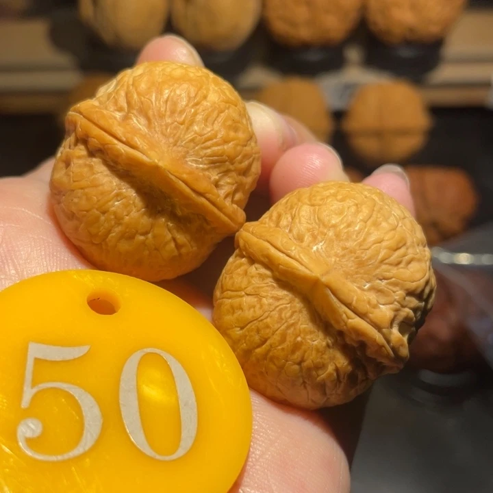 龙珠32尺寸核桃。