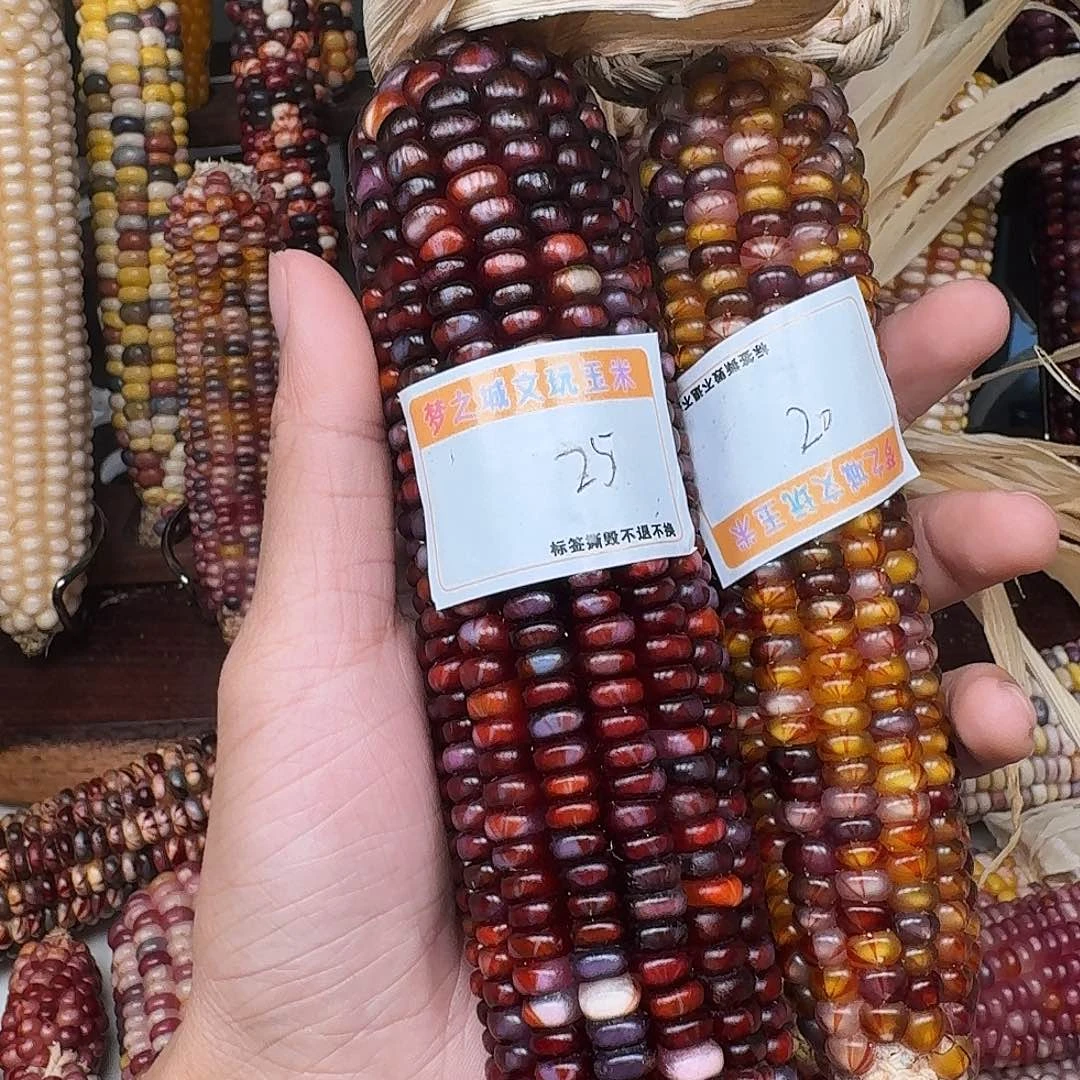 财***宝柏香籽/百香籽吊坠