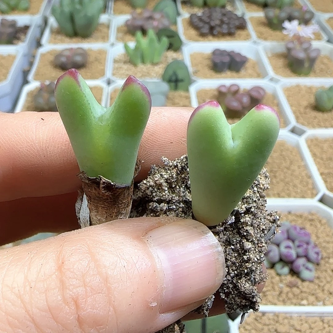 琳***宝哈哈哈哈哈哈哈哈哈哈哈53797