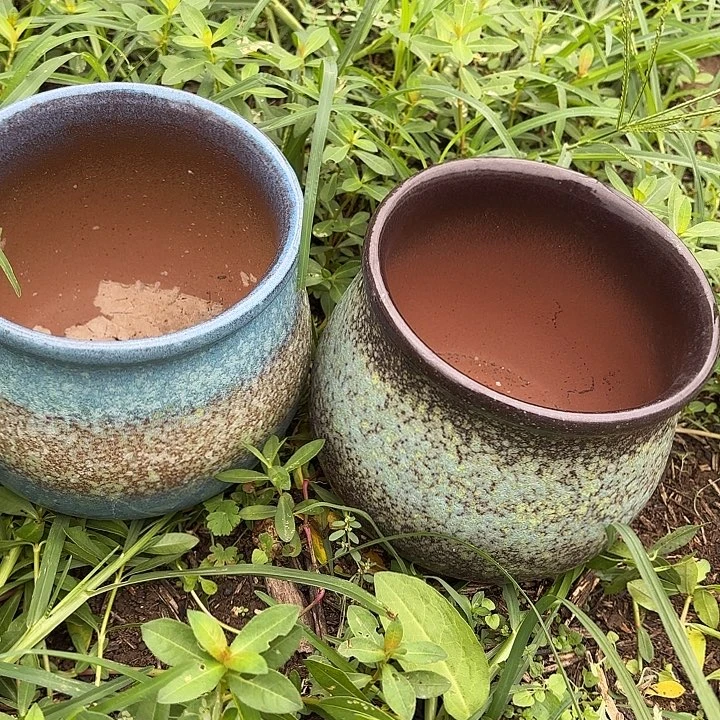 口16高16。。。。。。。。。。